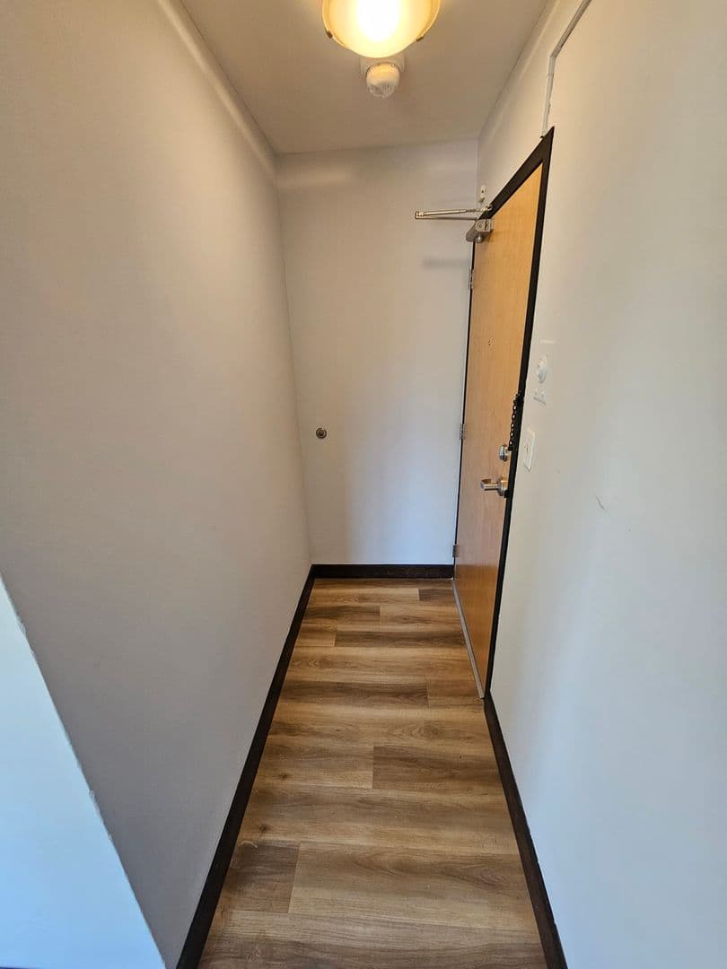 Mpls Apartment: 316 Oak Grove St