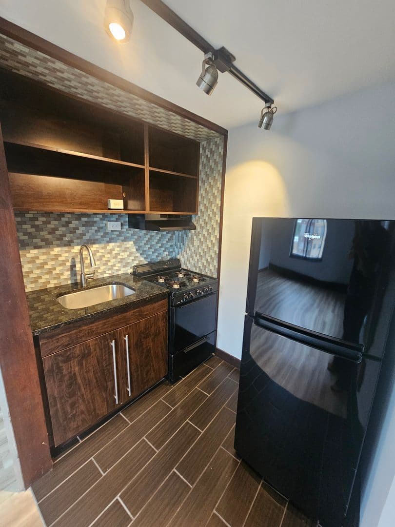 Mpls Apartment: 316 Oak Grove St