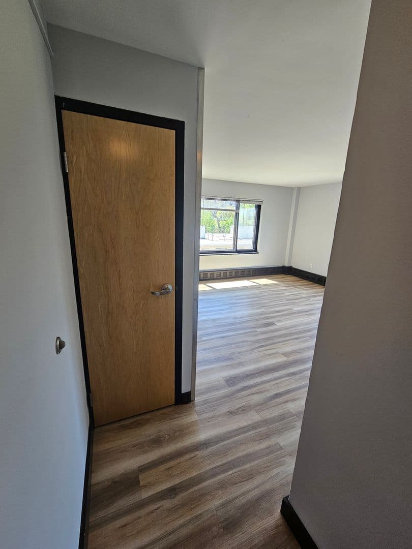 Mpls Apartment: 316 Oak Grove St