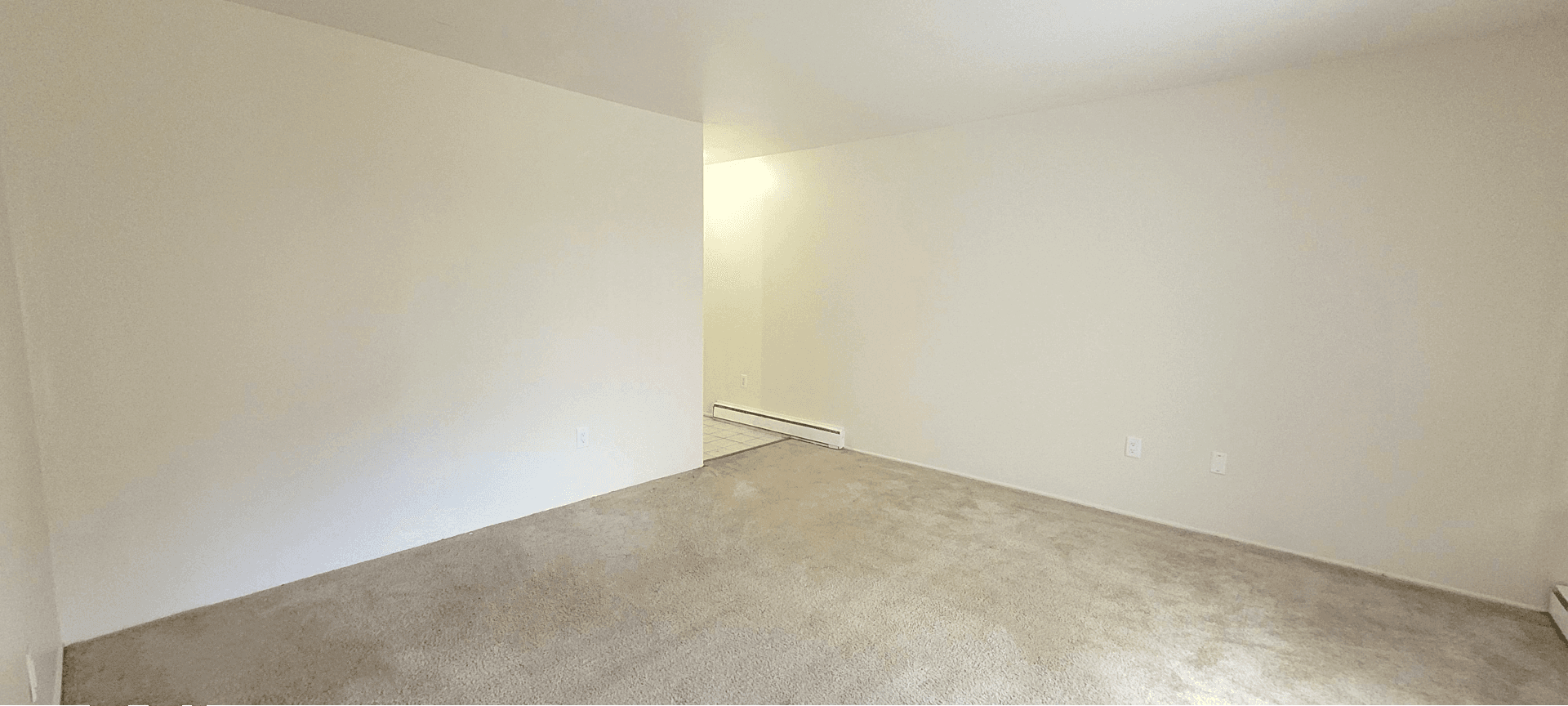 Ann Arbor Condo: 4206 Packard St. #2