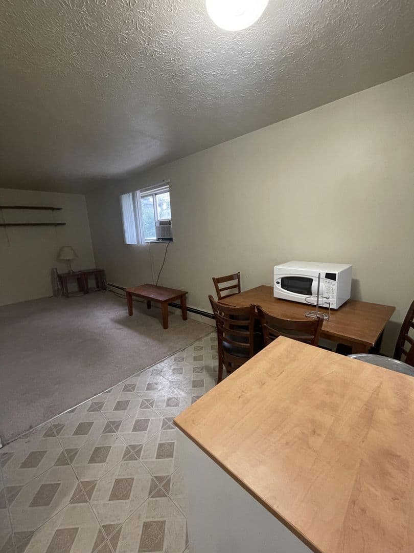 Ann Arbor Apartment: 526 Linden St