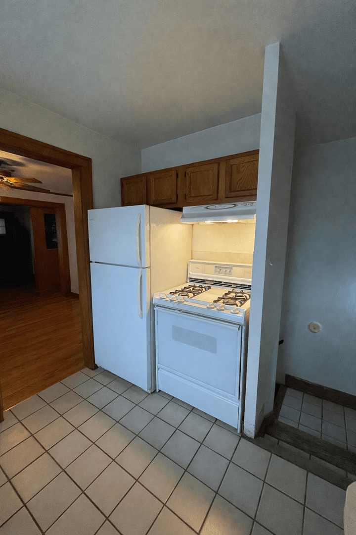 Ann Arbor Apartment: 203 E. Davis Ave.