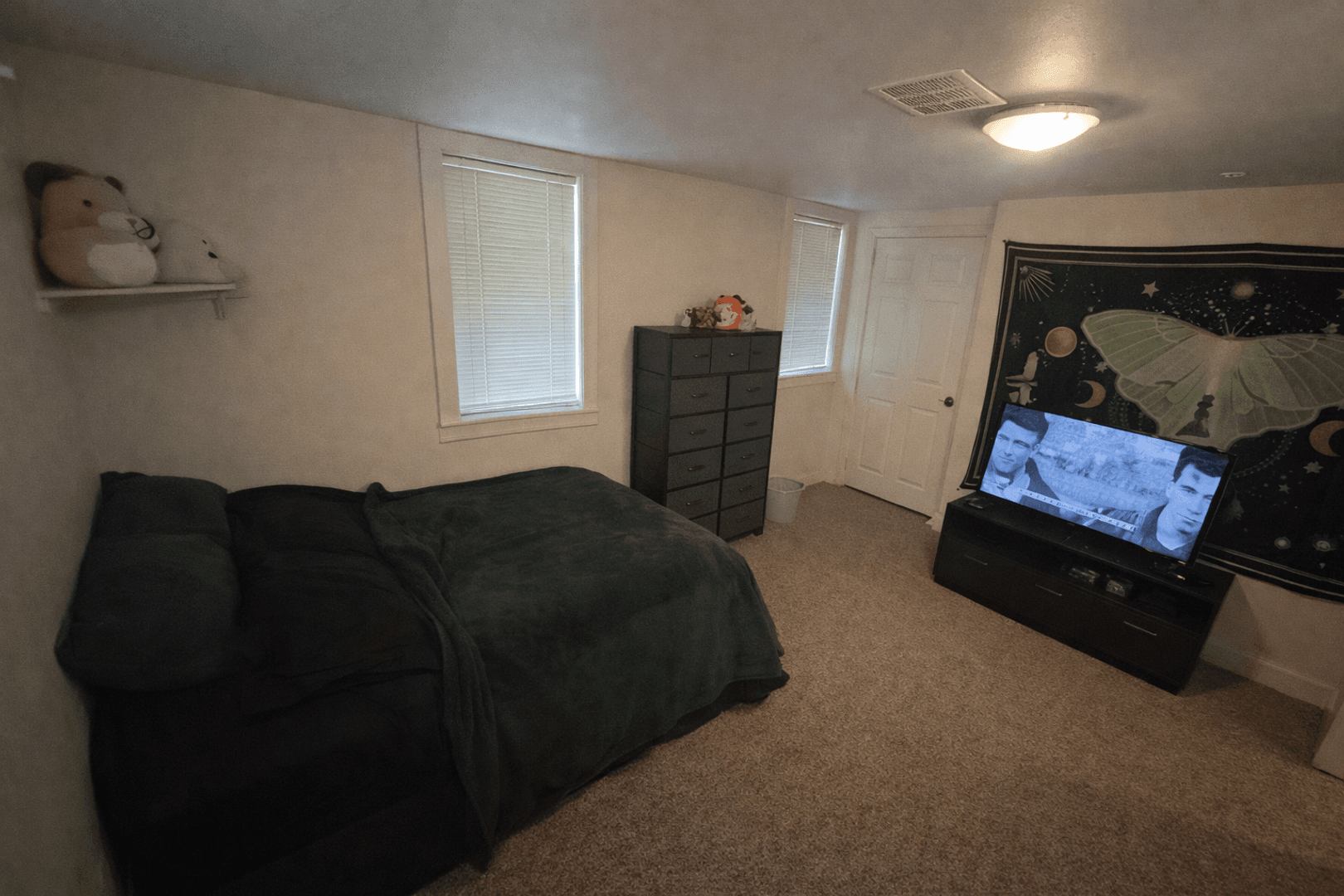 Ann Arbor Apartment: 1803 Hill St.