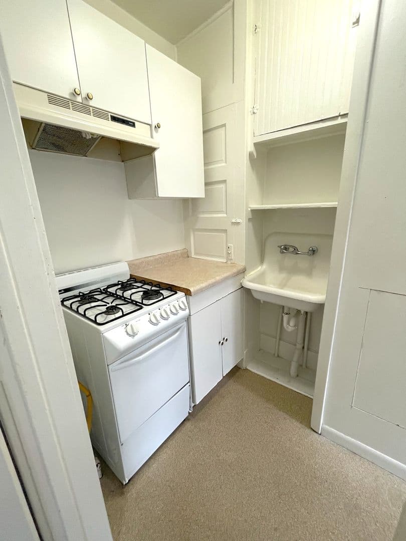 Ypsilanti Apartment: 418 Emmet St