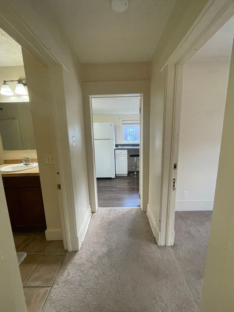 Ann Arbor Apartment: 1121 Packard St.
