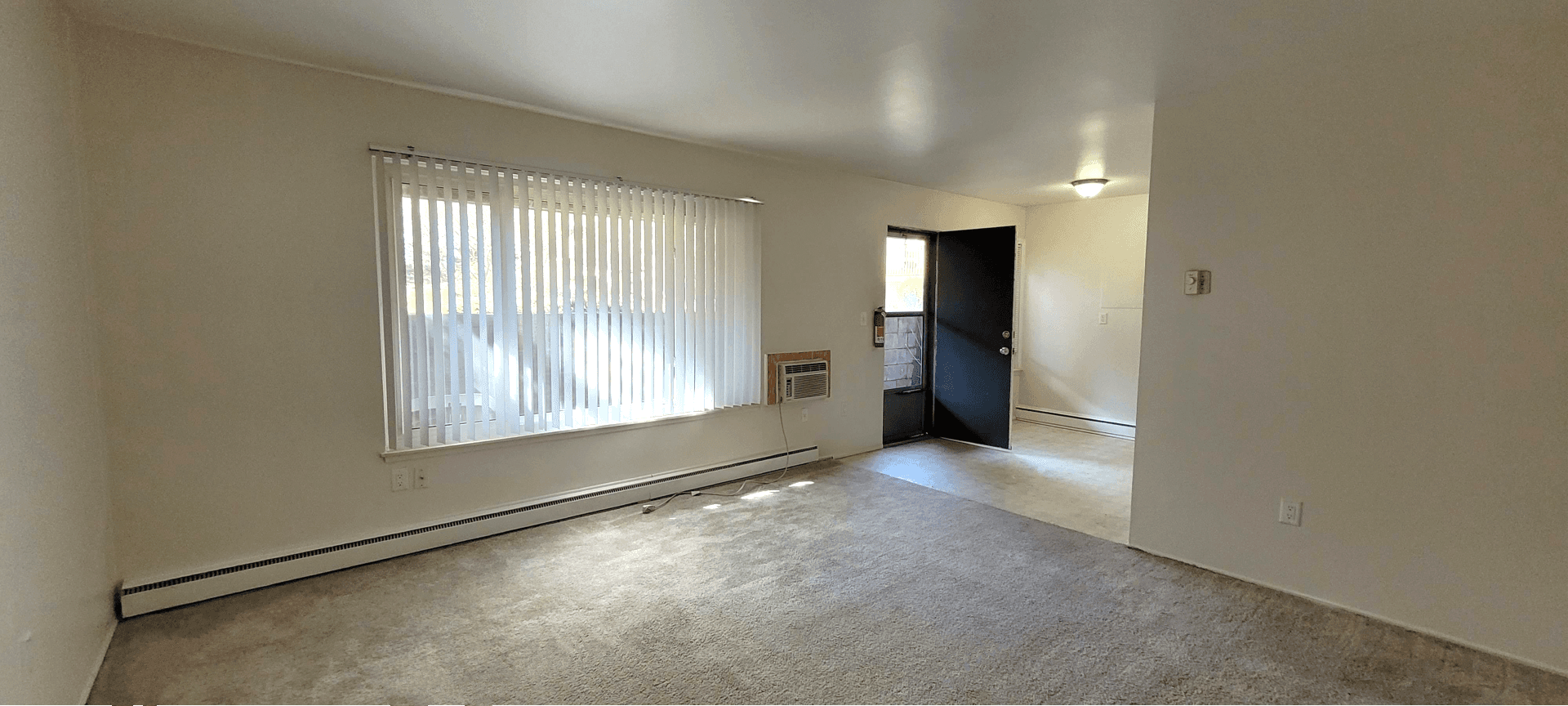 Ann Arbor Condo: 4206 Packard St. #2