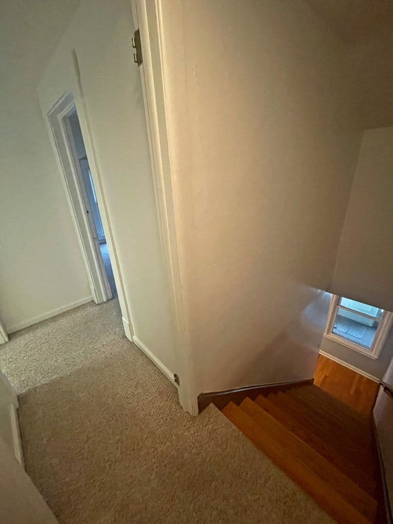 Ann Arbor Apartment: 215/217 N. Ashley St