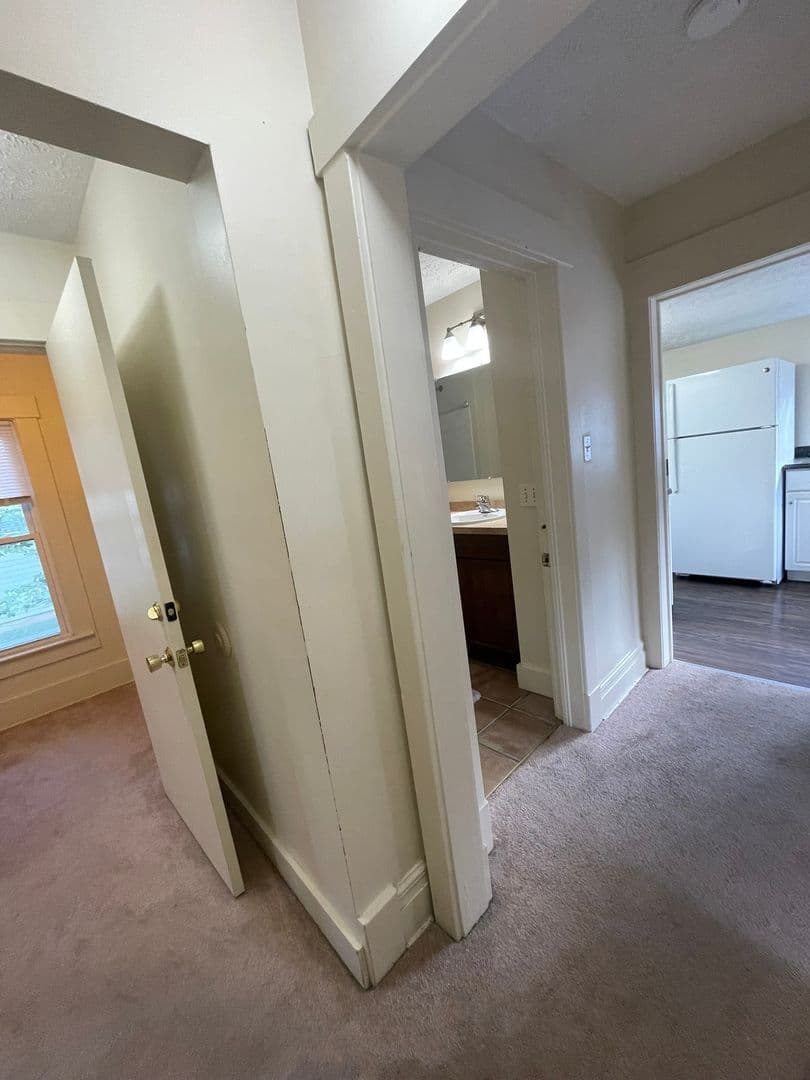 Ann Arbor Apartment: 1121 Packard St.
