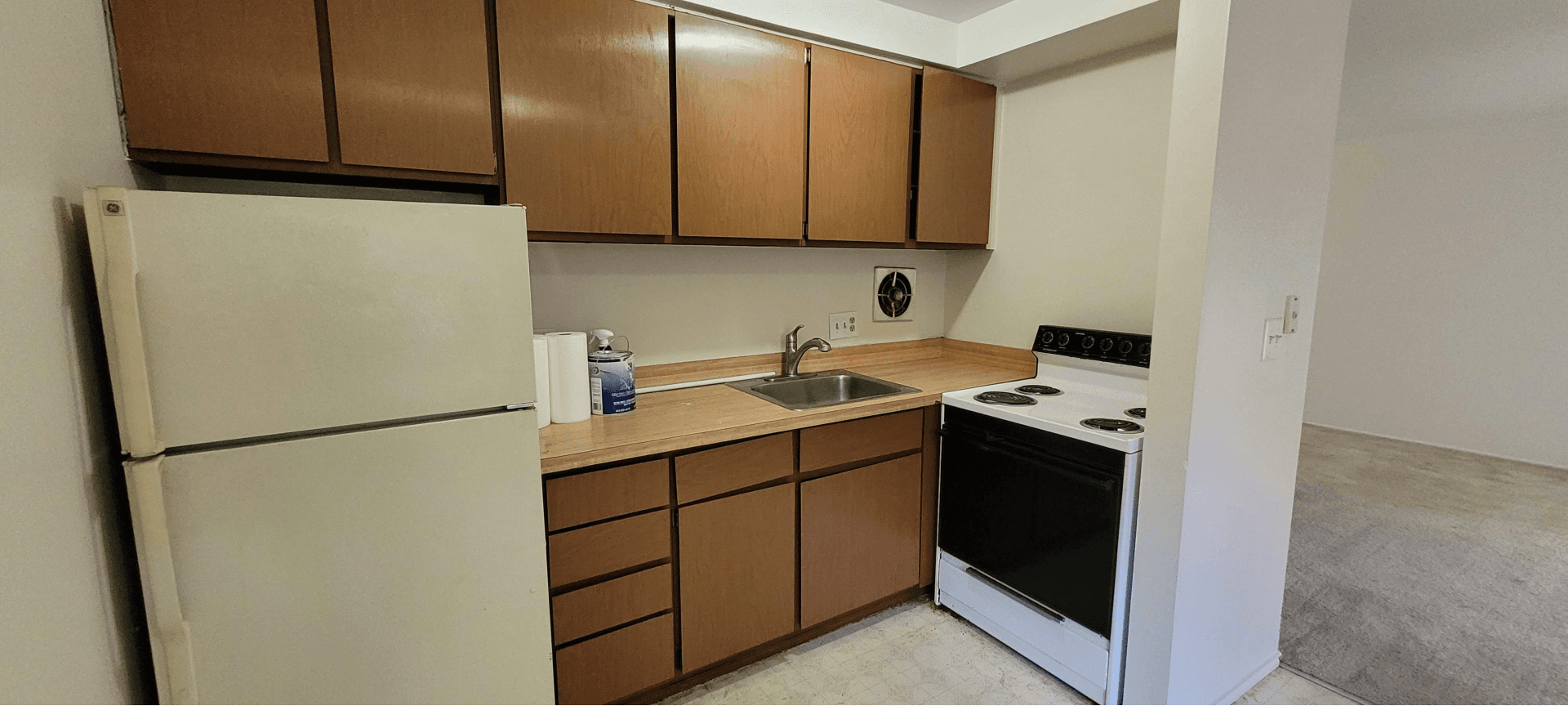 Ann Arbor Condo: 4206 Packard St. #2