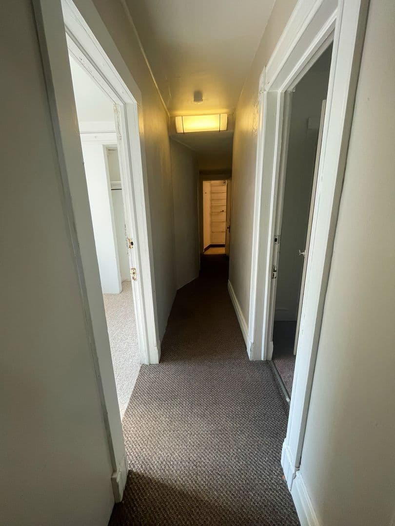 Ann Arbor Apartment: 310 E. William St.