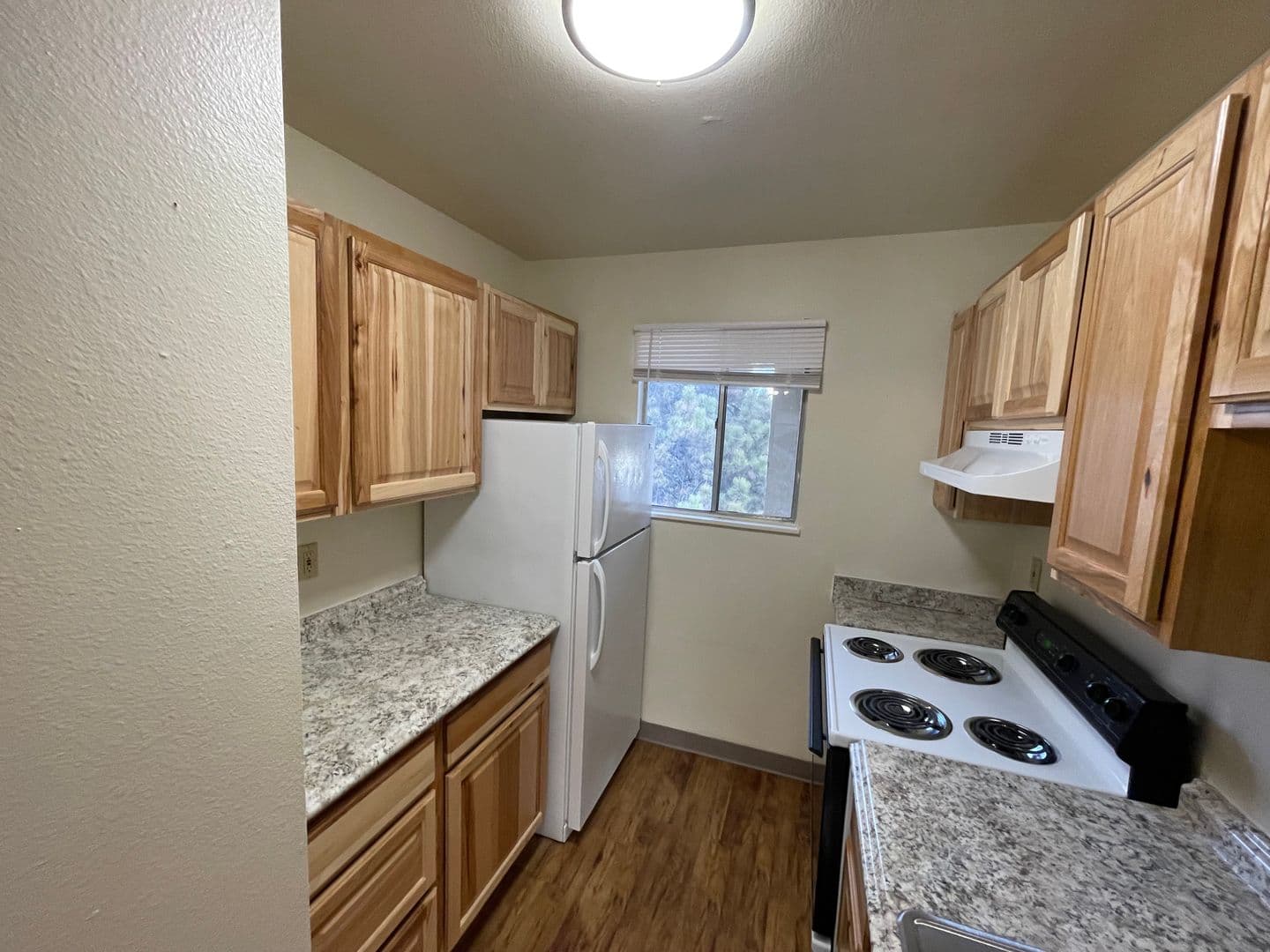 Ft Collins Apartment: 1200/20 E. Stuart / 1701/09/17 Welch