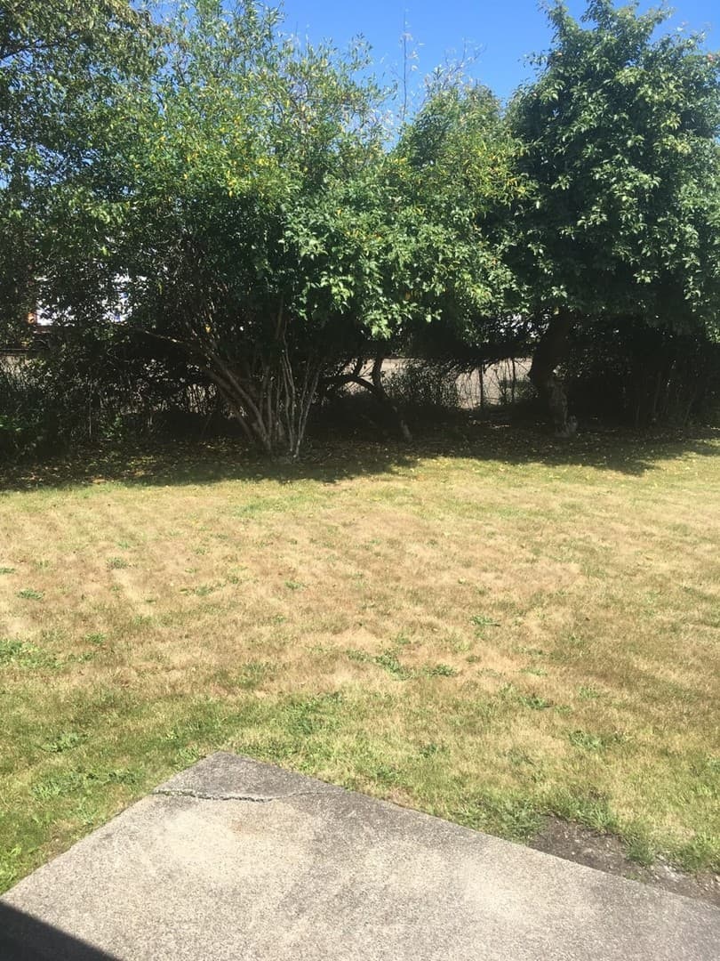 ELMA Apartment: 420 OAKHURST DRIVE