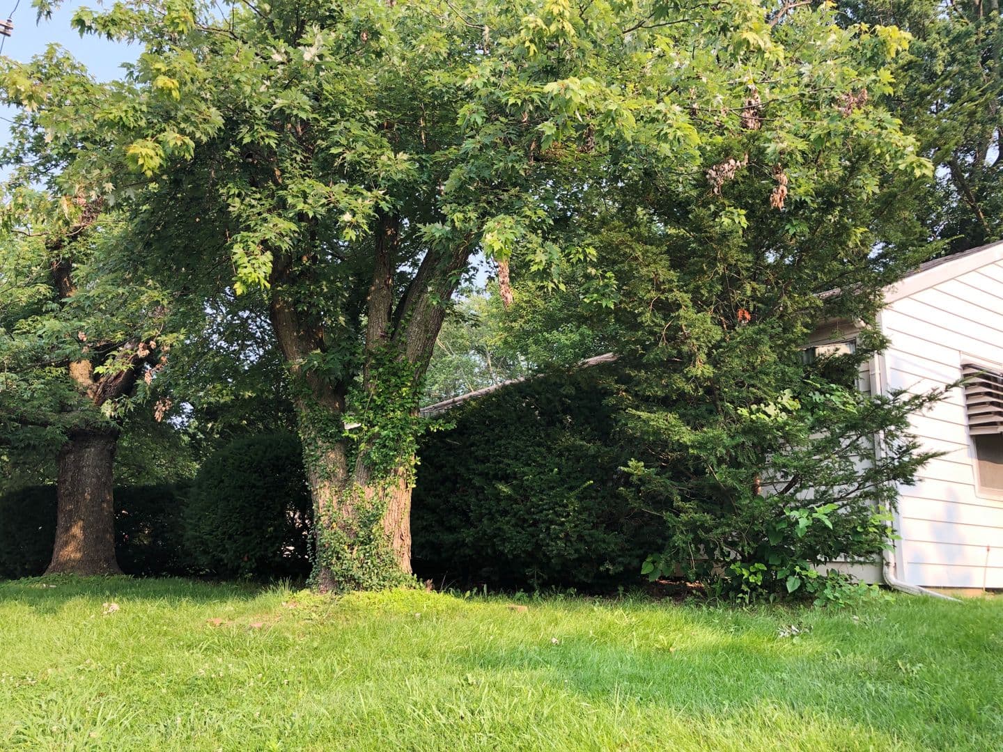 Bloomington Apartment: 417 E Hillside Dr