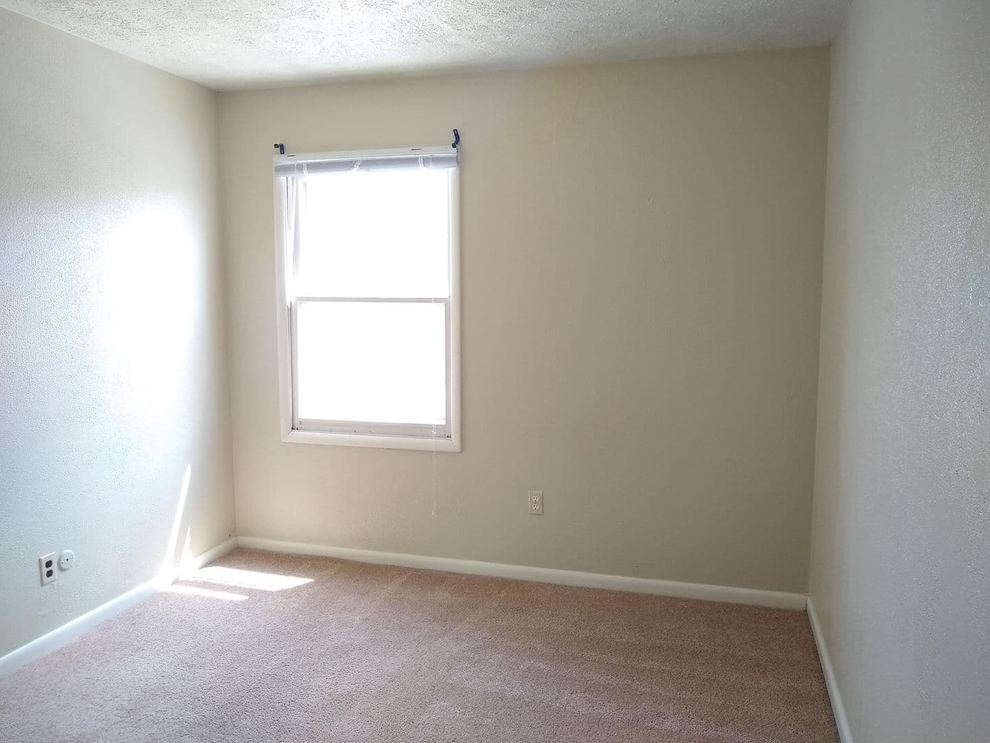 Bloomington Apartment: 107 N Dunn St