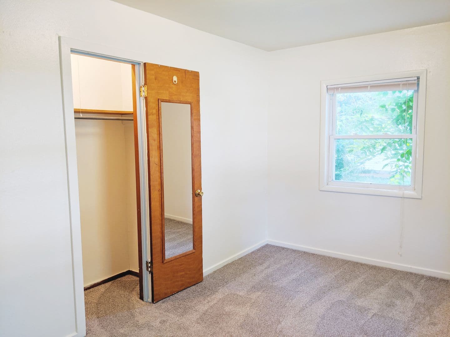 Bloomington Apartment: 116 N Roosevelt Street