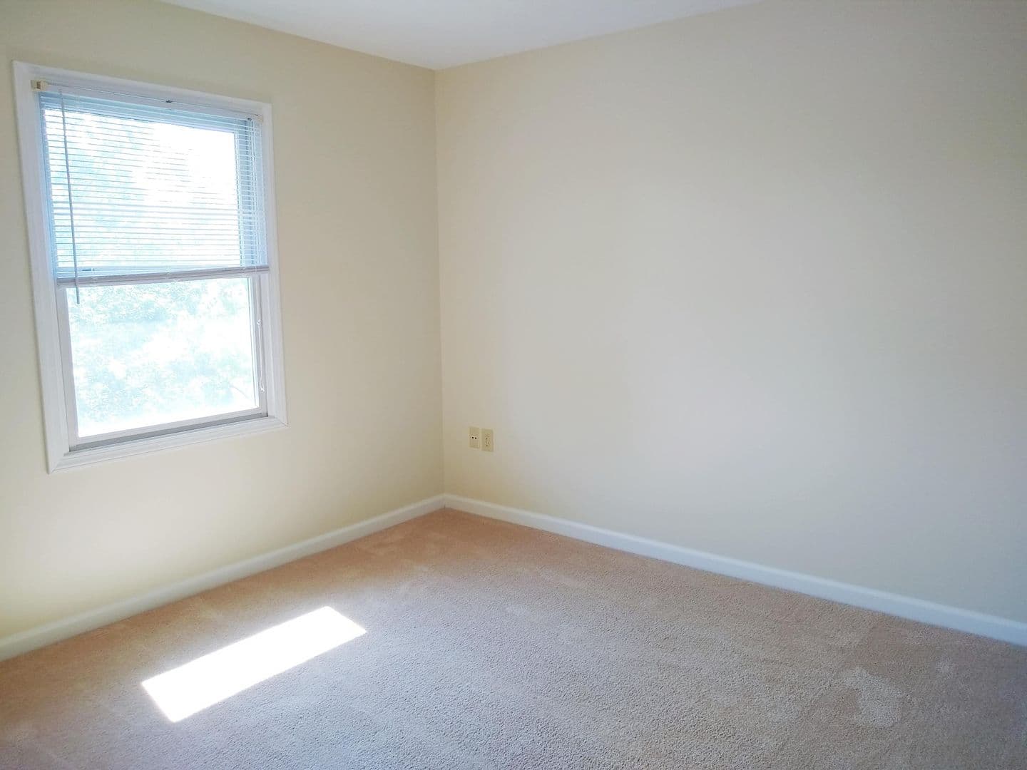 Bloomington Apartment: 1403-1409 W Allen St