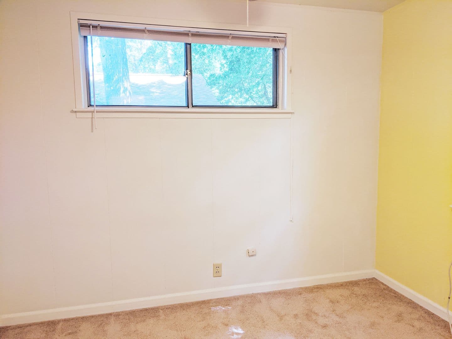 Bloomington Apartment: 412 N Roosevelt St