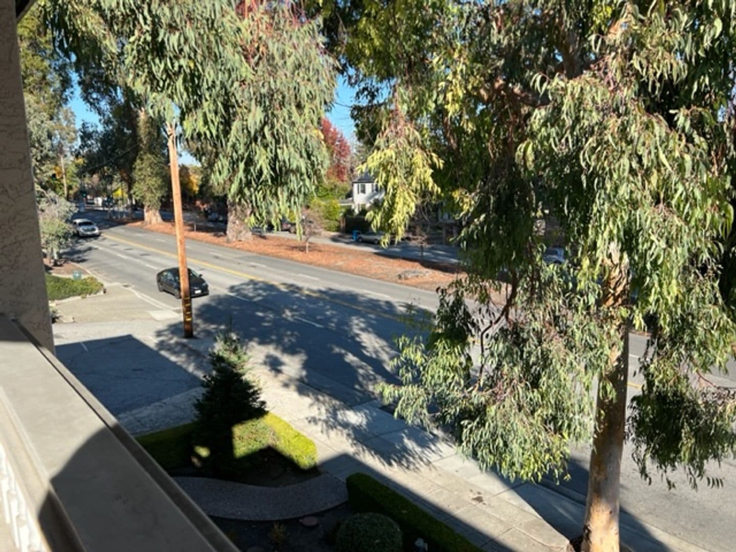 Burlingame Apartment: 1445 El Camino Real