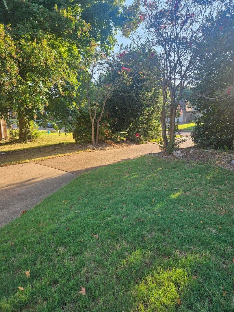 Bartlett House: 3741 Westridge Cv.