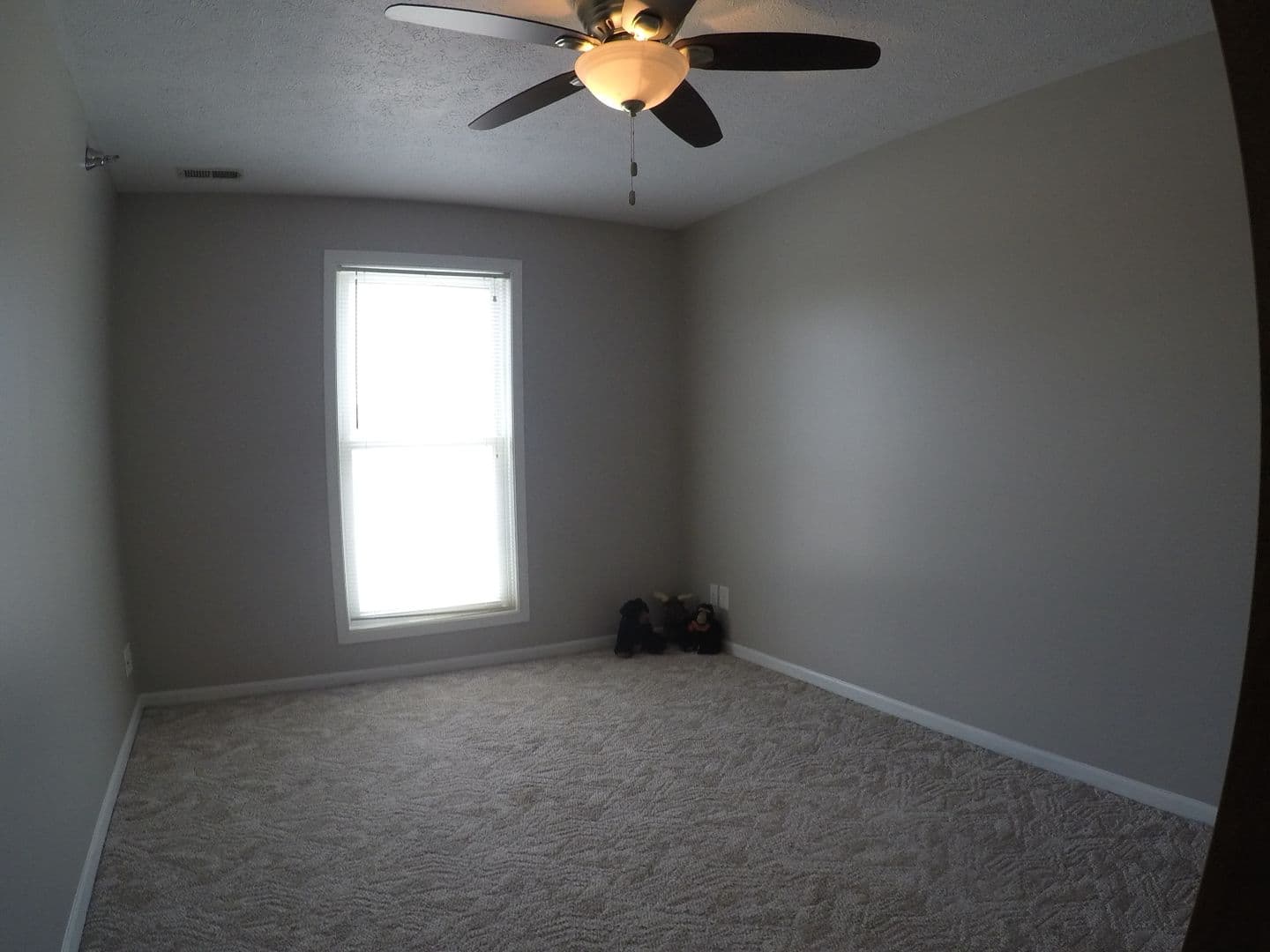 Lafayette Apartment: 809 N 6th St.
