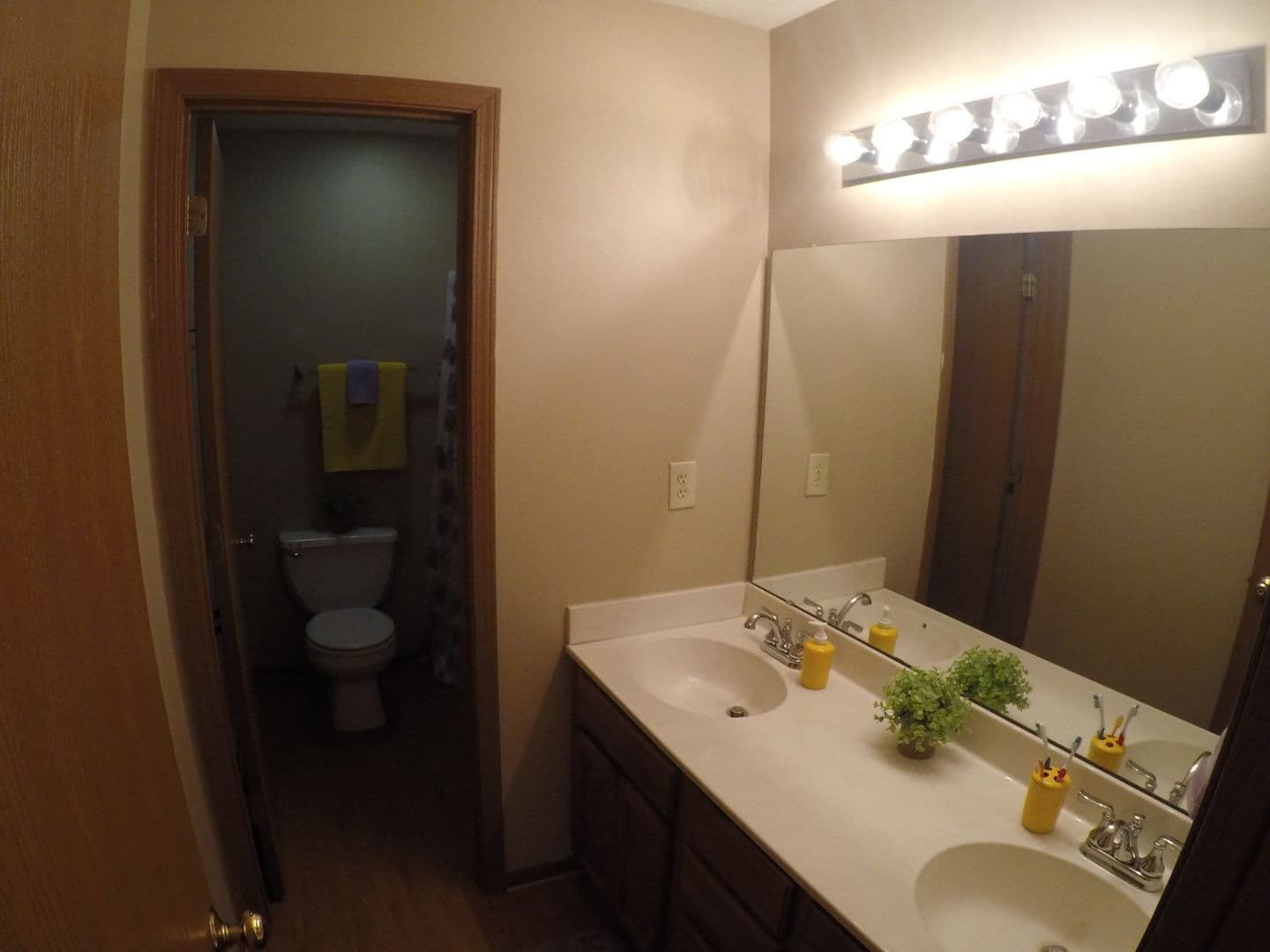 Lafayette Apartment: 3951-3959 Amelia Ave.