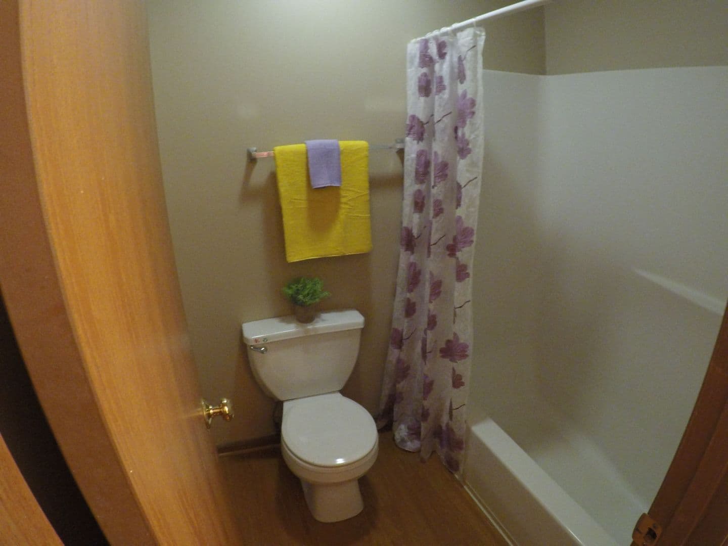 Lafayette Apartment: 3951-3959 Amelia Ave.