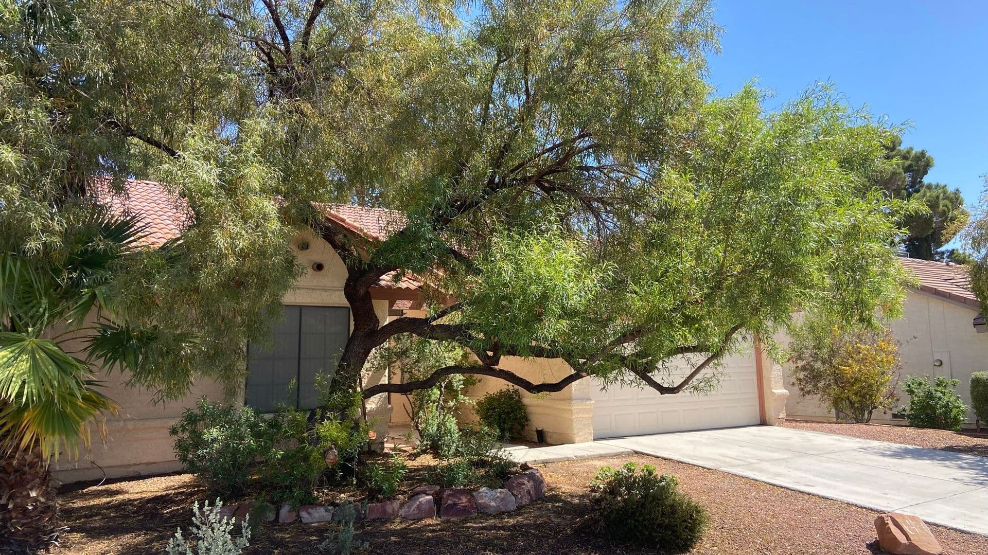 Las Vegas House: 6424 Dearborn CT