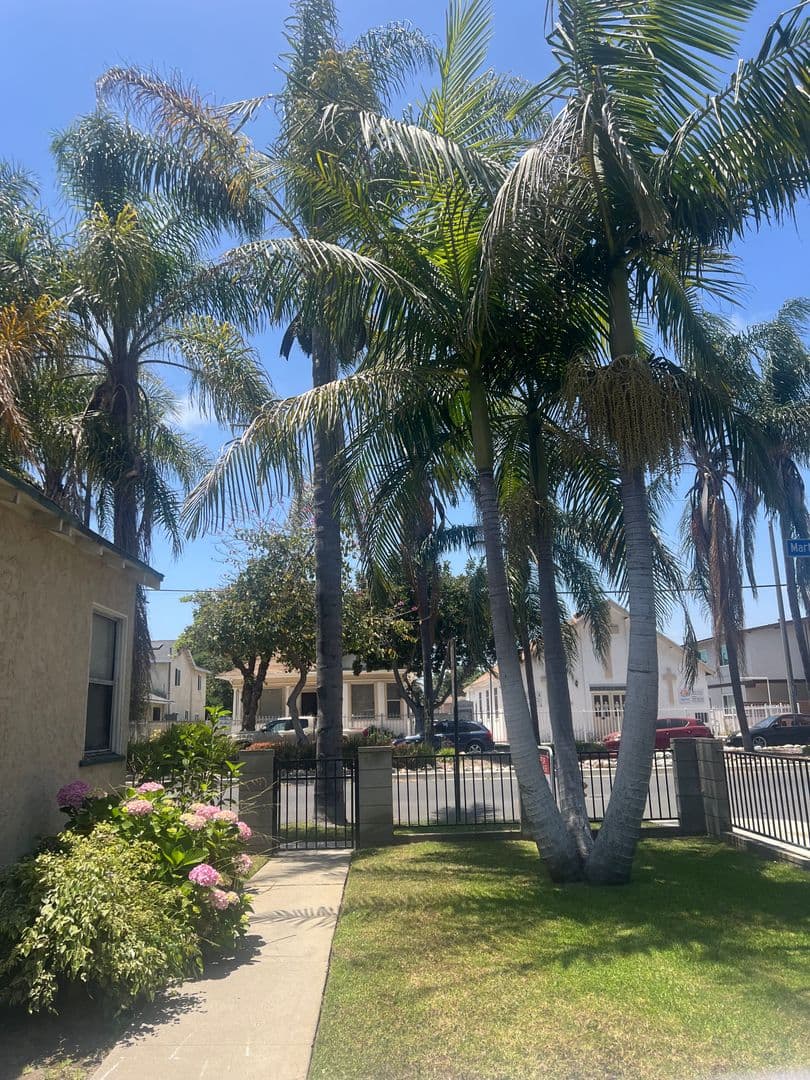 Long Beach Apartment: 1970 Martin Luther King Jr Ave