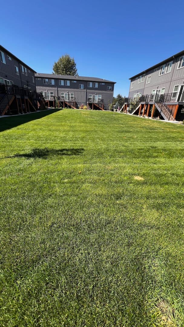Deer Park Apartment: 21 E. H Street - B