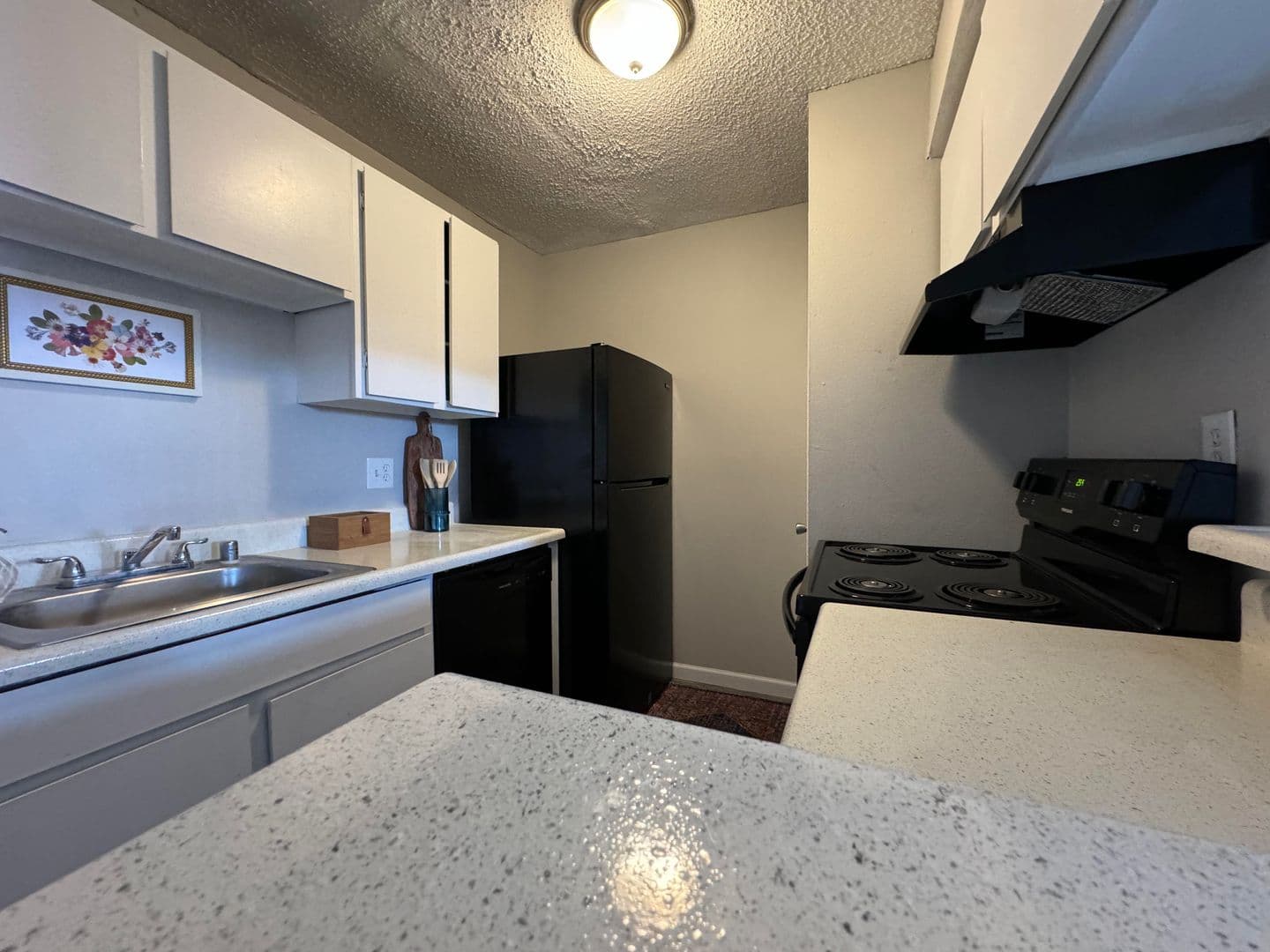 Lubbock Apartment: 6402 Albany Avenue