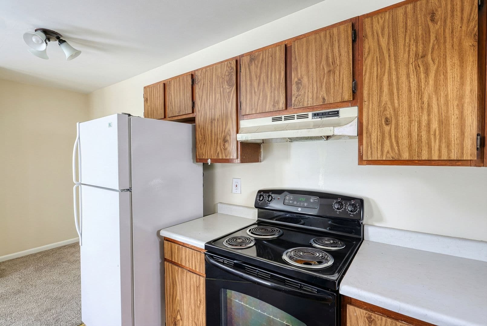 Enola Apartment: 7 Adams St