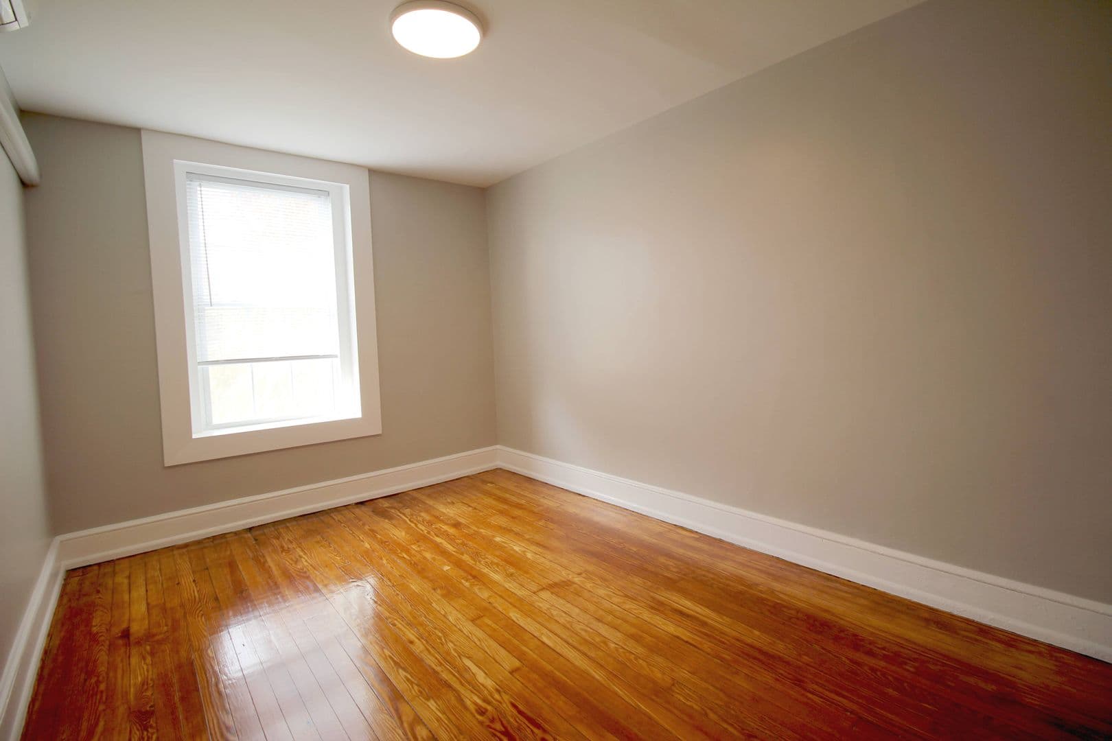 Audubon Apartment: 117 Chestnut St