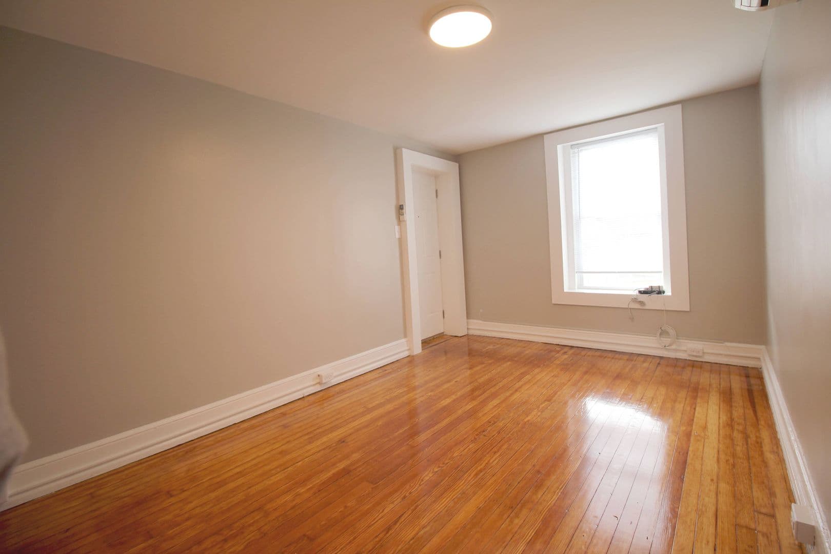 Audubon Apartment: 117 Chestnut St