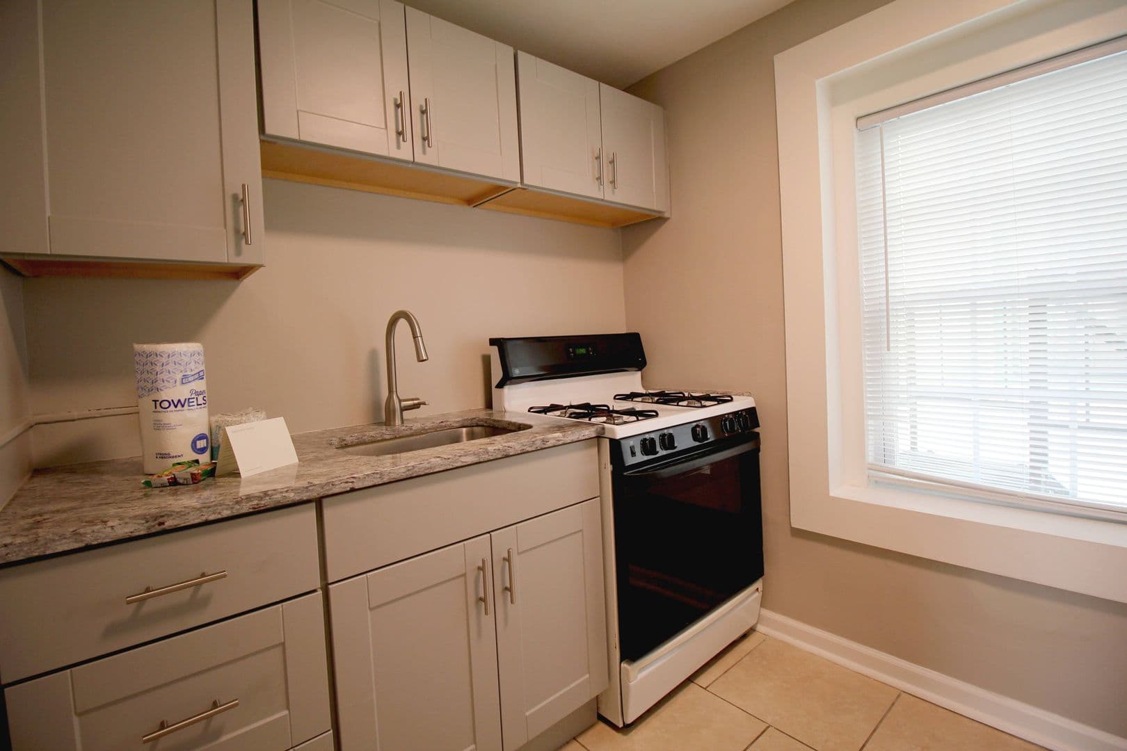 Audubon Apartment: 117 Chestnut St