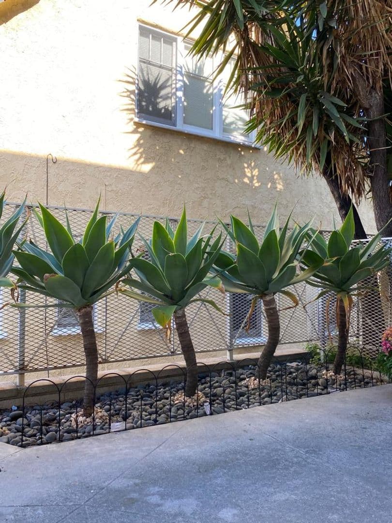Los Angeles Apartment: 1469 S Canfield Ave