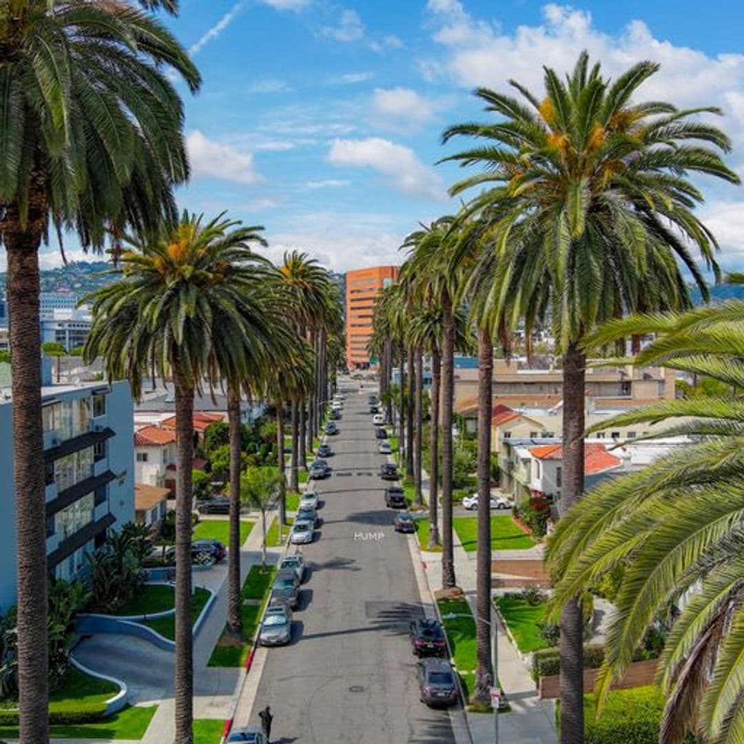 Beverly Hills Apartment: 123 N Hamilton Dr