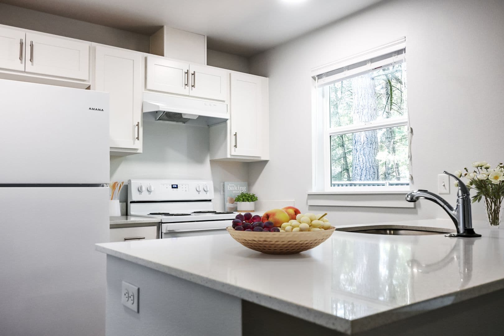 Cottage Grove Apartment: 1041 S 10th St.