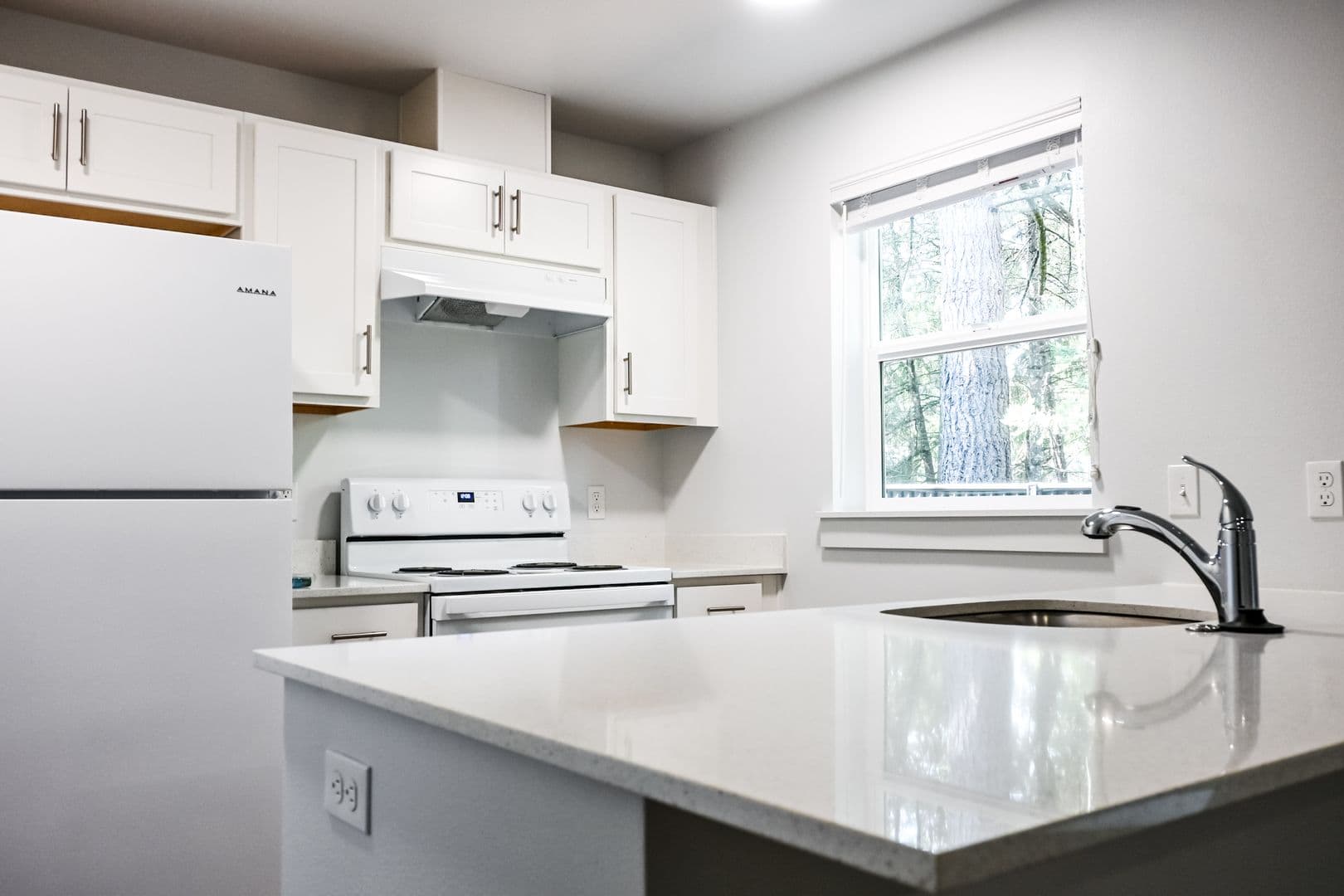 Cottage Grove Apartment: 1041 S 10th St.