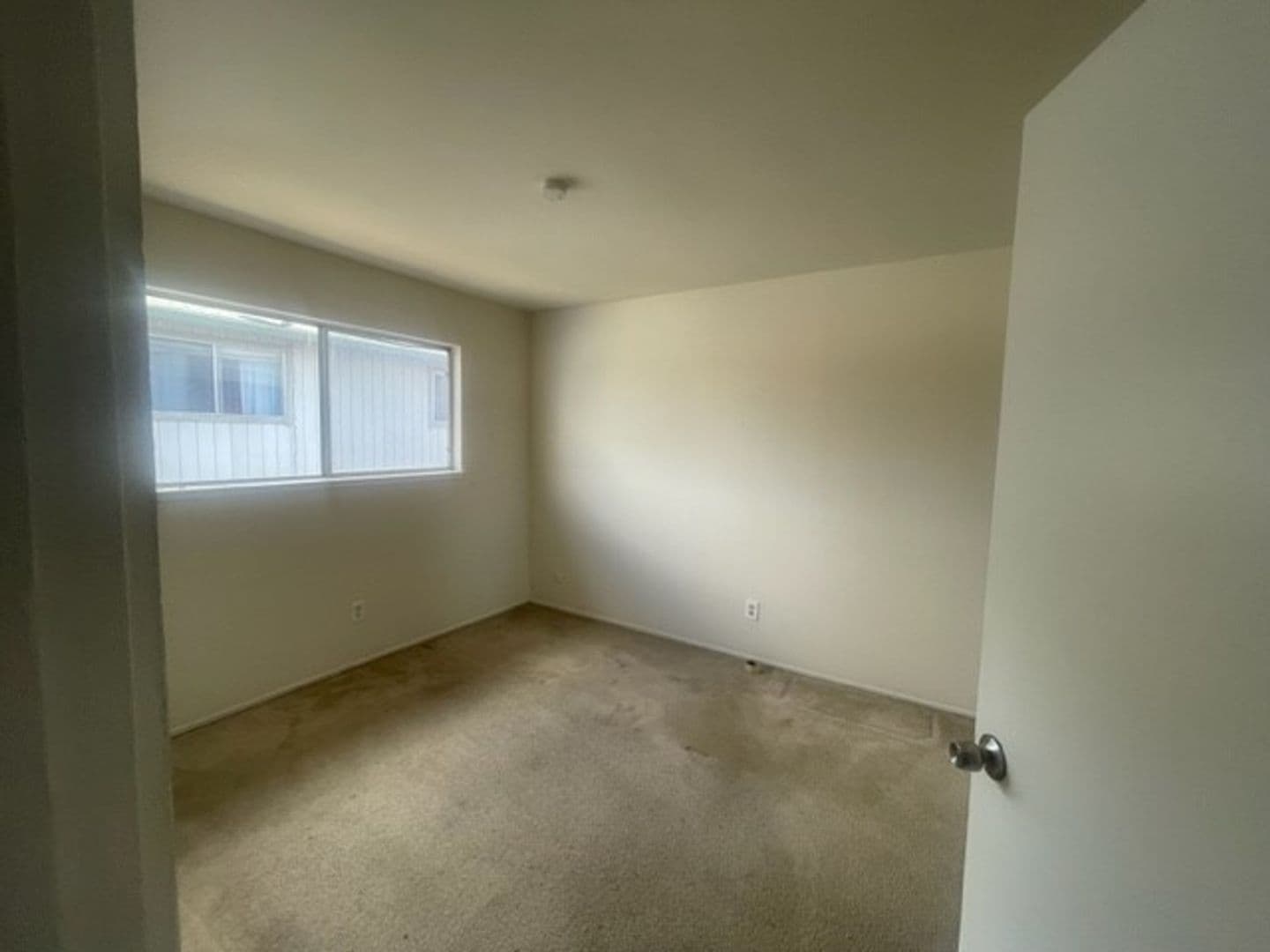 Newark Apartment: 36851/36857 Sycamore Street