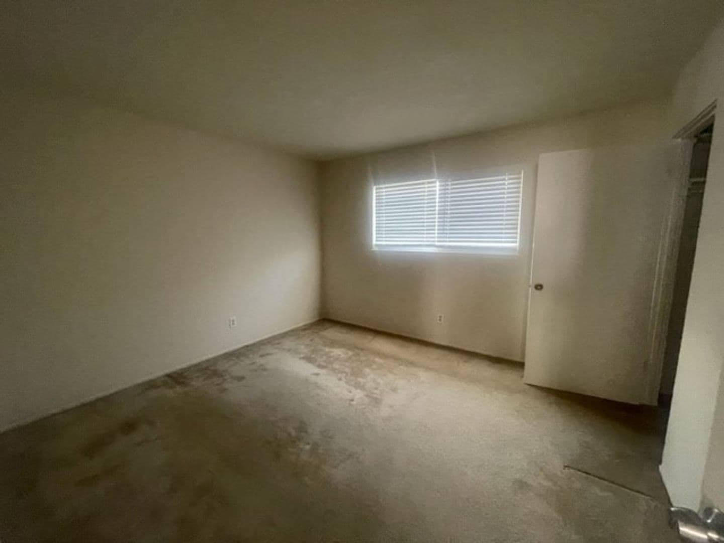 Newark Apartment: 36851/36857 Sycamore Street