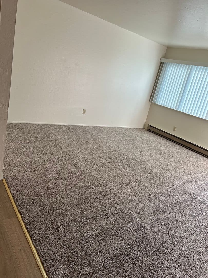 Campbell Apartment: 178 Echo Avenue