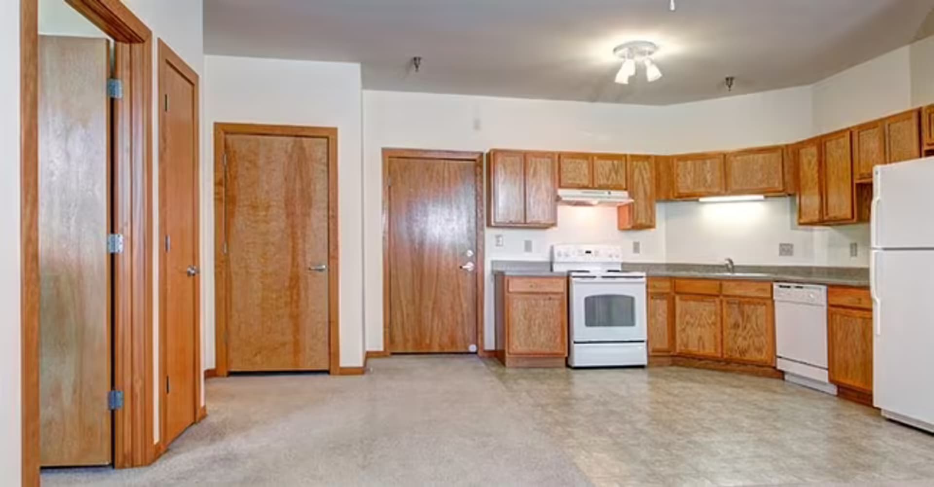 Moline Apartment: 1001 16th