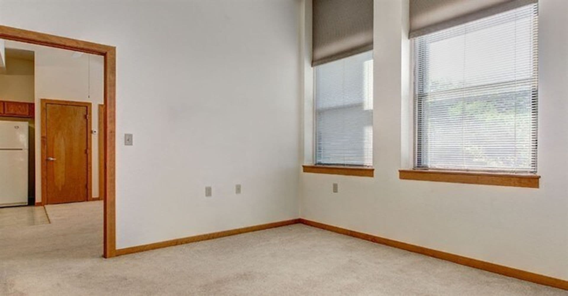 Moline Apartment: 1001 16th