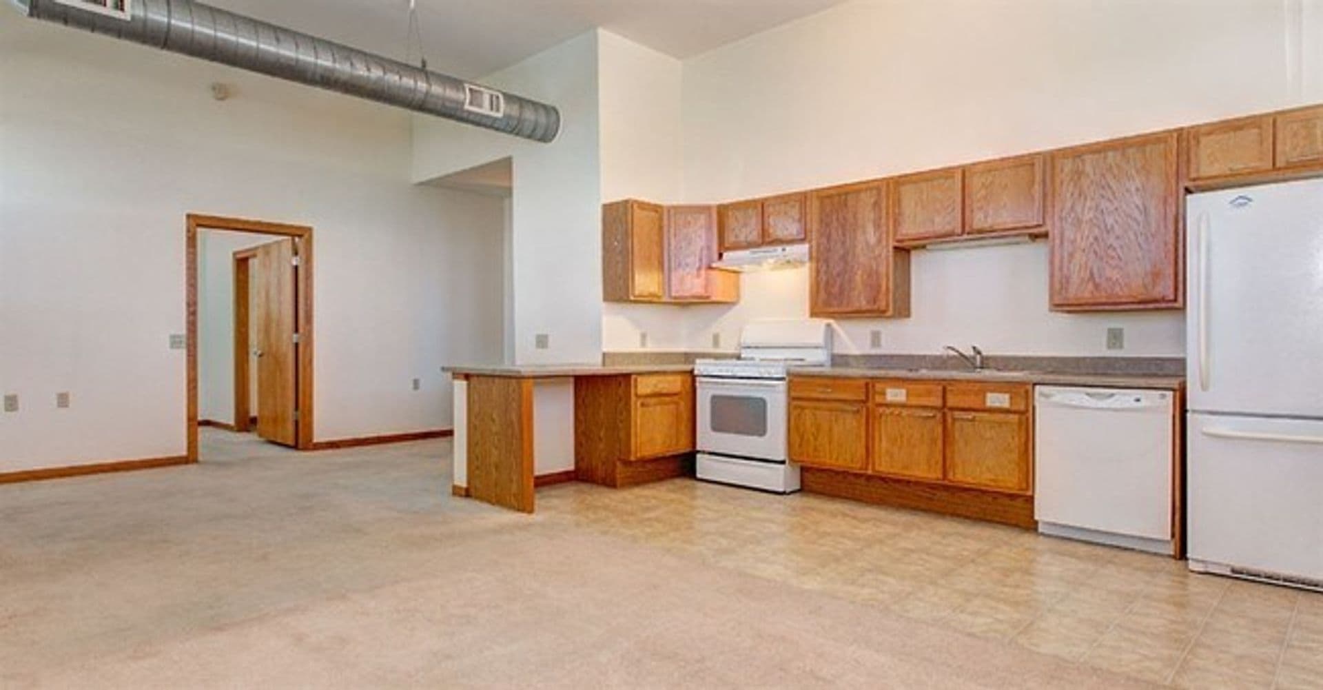 Moline Apartment: 1001 16th