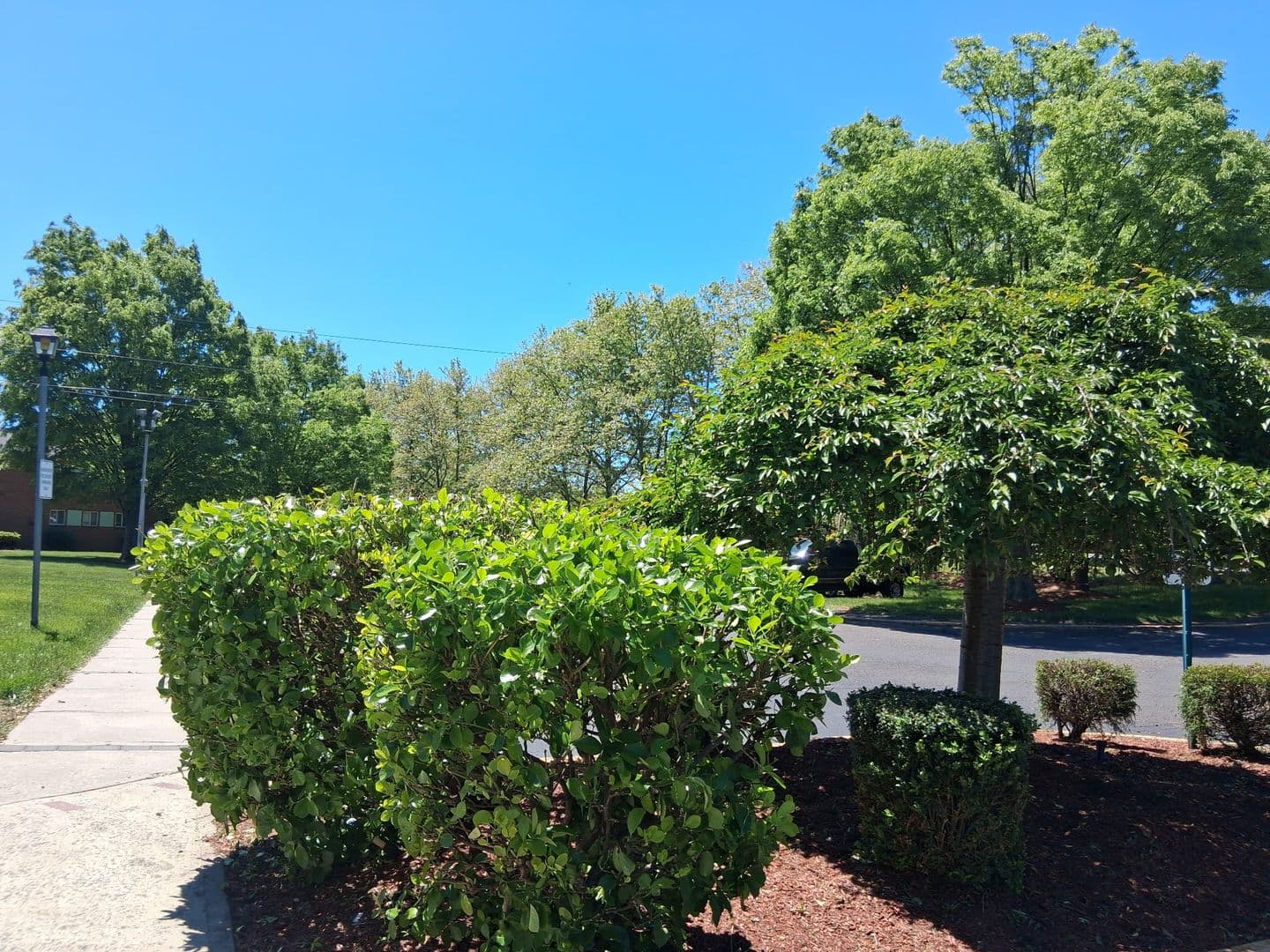 Bridgewater Apartment: 82-106 Finderne Avenue