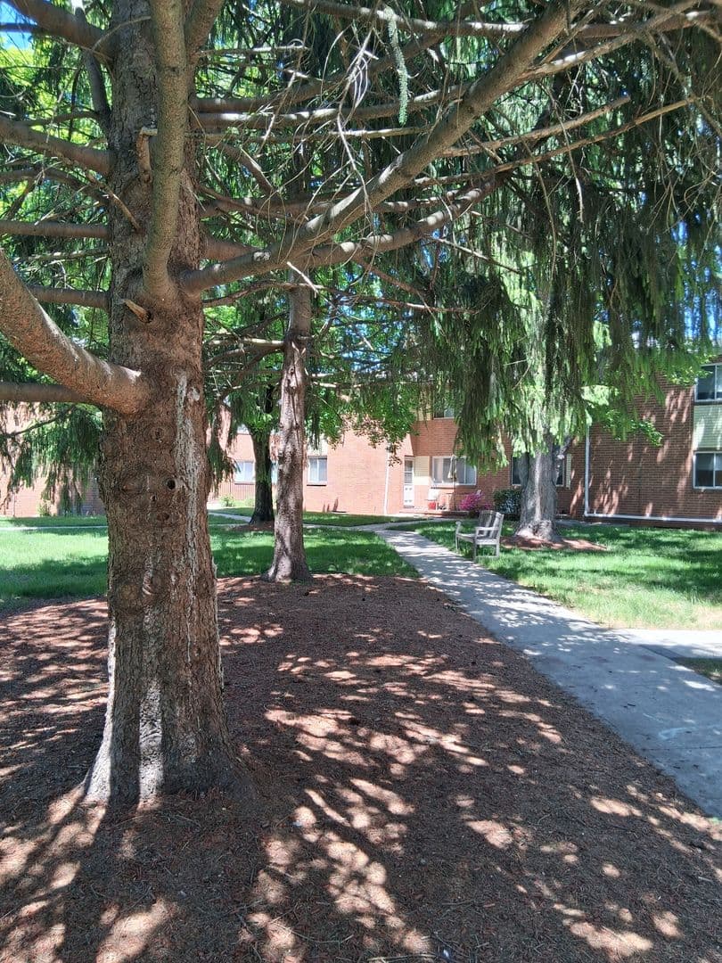 Bridgewater Apartment: 82-106 Finderne Avenue