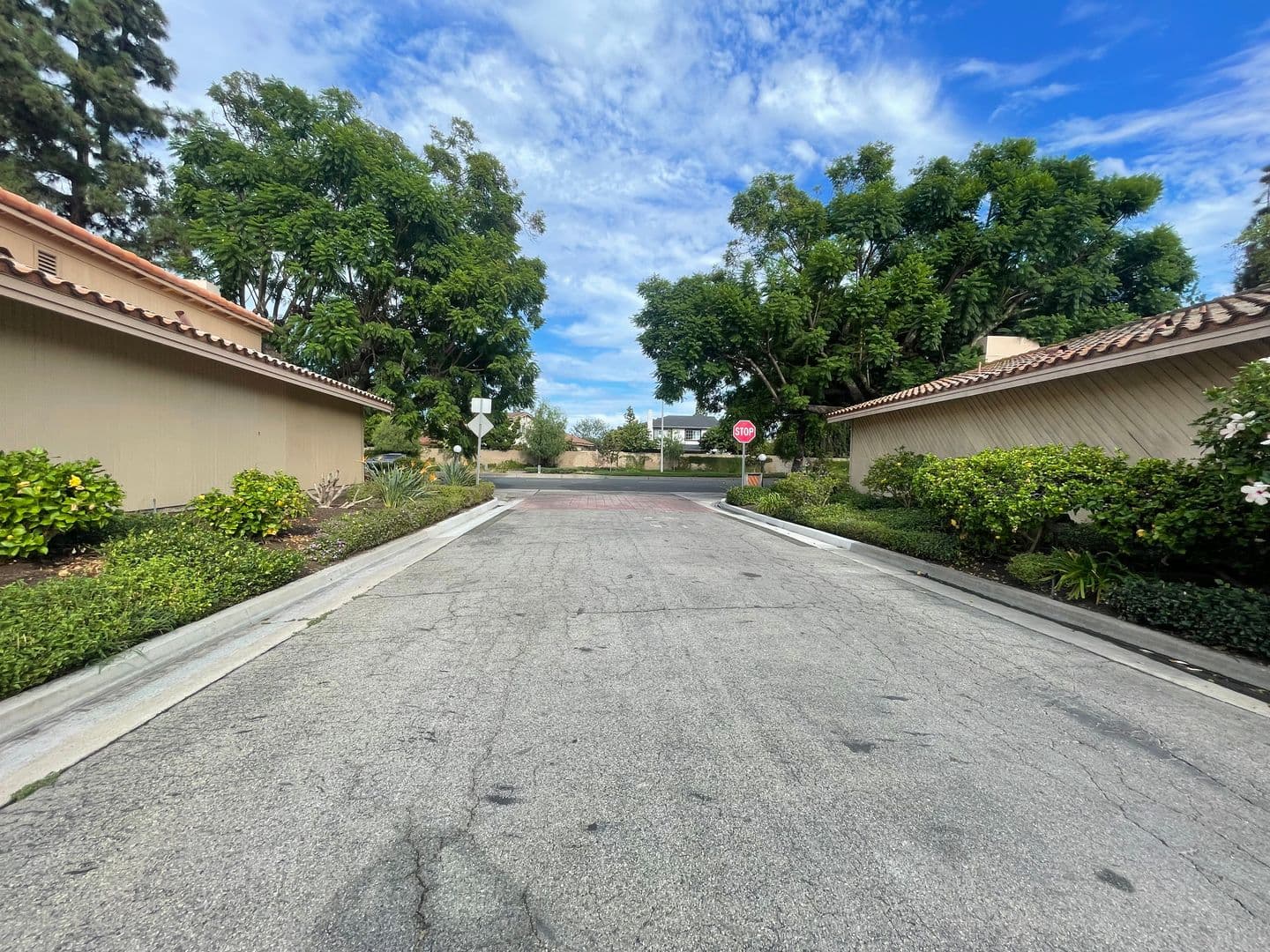 CERRITOS House: 16615 BLOOMFIELD AVE #6