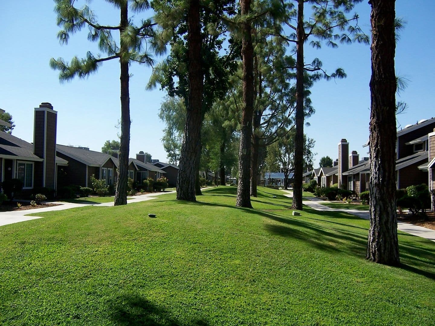 Bakersfield Apartment: 2601 Ashe Rd