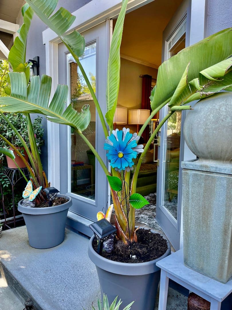 Sacramento House: 1908 42nd Street