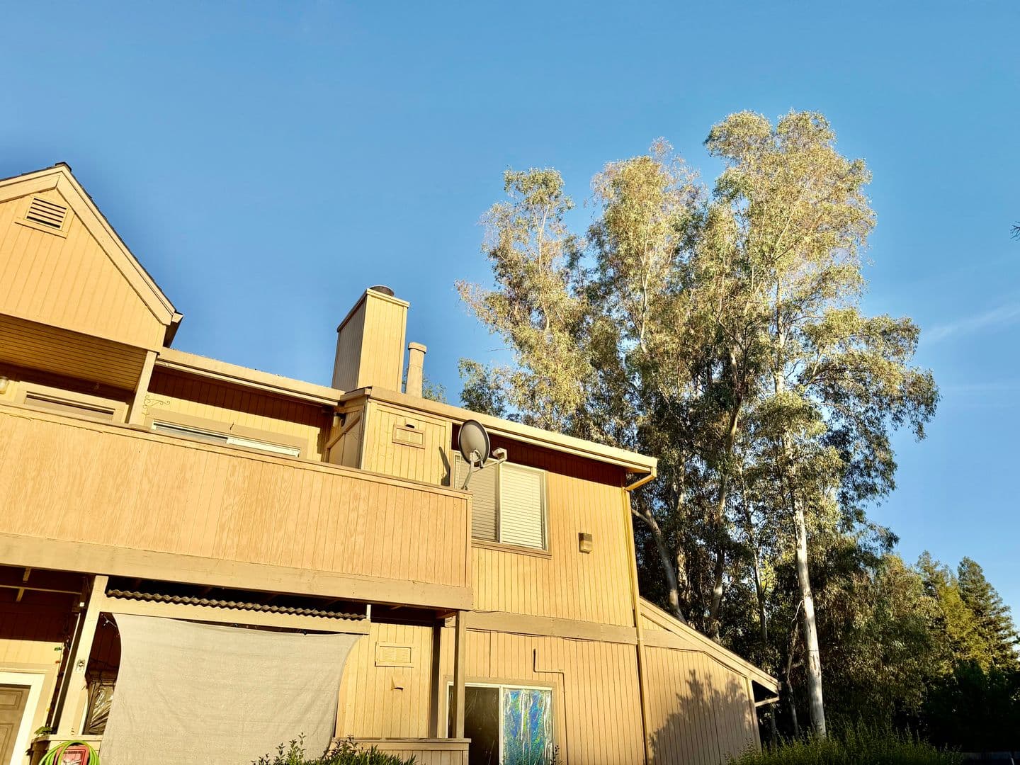 Carmichael Apartment: 3930 Hollister Ave.